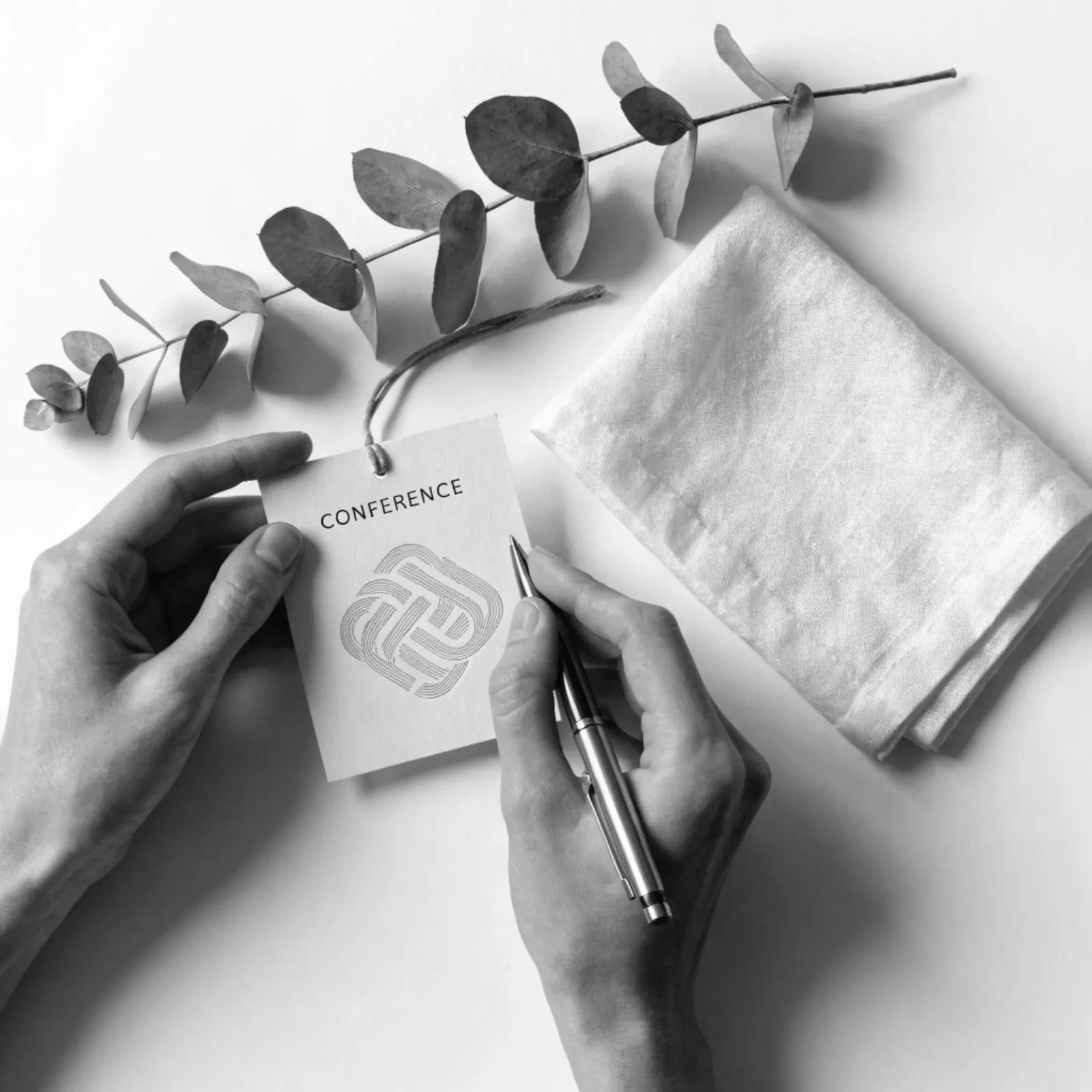 Coulisses & organisation